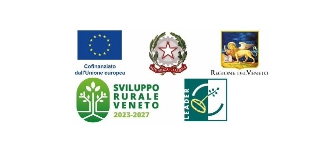 Immagine principale