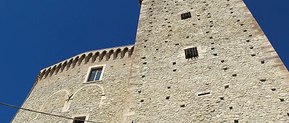 Immagine non trovata