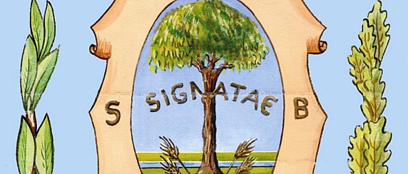 Consiglio Comunale