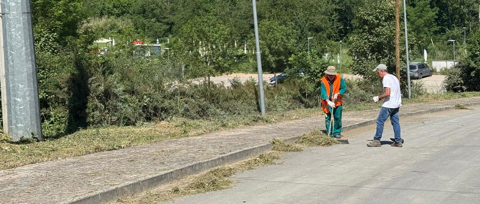 Immagine principale