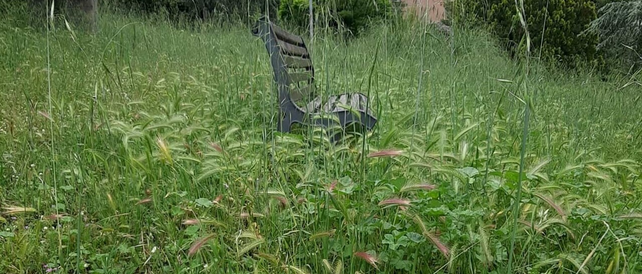 Immagine principale