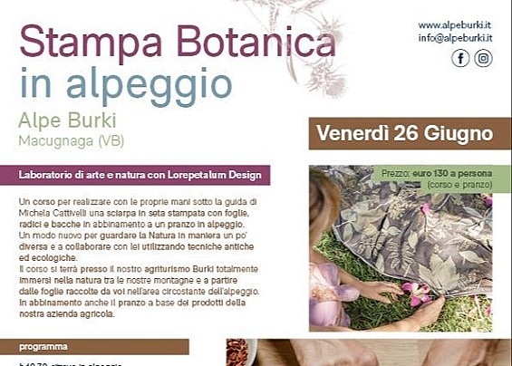 Immagine non trovata