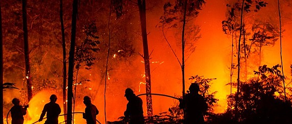 AVVISO DI DEPOSITO AGGIORNAMENTO CATASTO DEGLI INCENDI BOSCHIVI