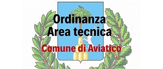 Ordinanza n. 6 del 5 Giugno 2026