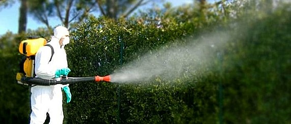 Disinfestazione adulticida a largo spettro contro zanzare e altri insetti_1° passaggio