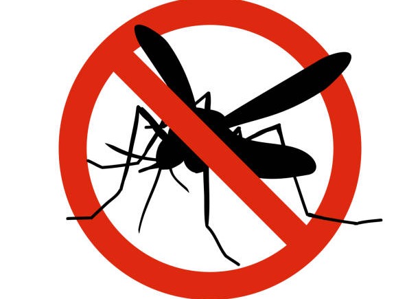 Avviso ai cittadini per disinfestazione e disinfestazione antilarvale  10 giugno 2026 dalle ore 01.00 alle ore 06.00