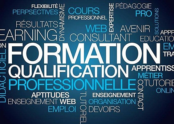 Prosegue il percorso formativo sul LEPS del Pronto Intervento Sociale: focus sul ruolo dell'Assistente Sociale nelle emergenze