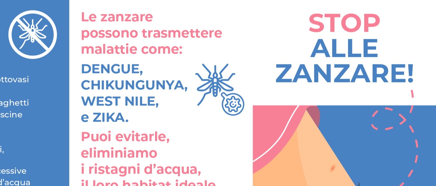 Immagine principale