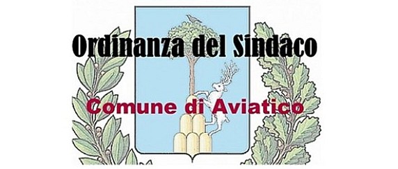 Ordinanza n. 8 del 9 Giugno 2026