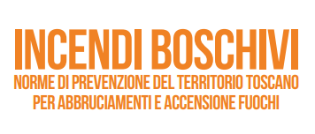 Immagine principale