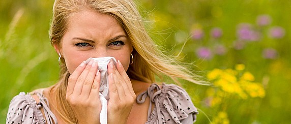 Ambrosia: come riconoscerla e come proteggere i soggetti allergici!