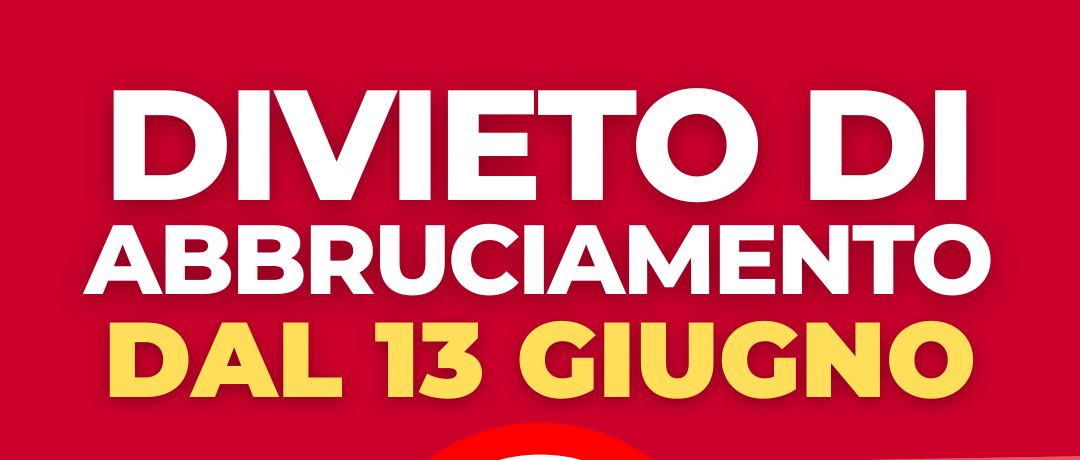Immagine principale