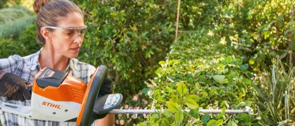AVVISO ALLA CITTADINANZA - Obbligo di provvedere alla regolare manutenzione delle proprie siepi, alberi e vegetazione