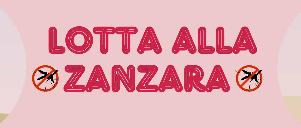 Immagine principale