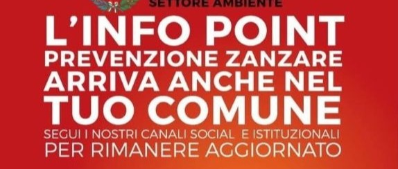 Immagine principale