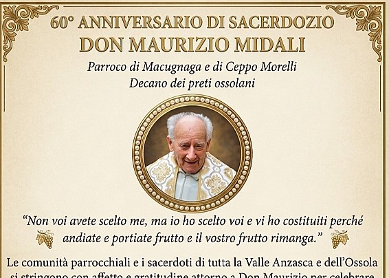 Immagine non trovata