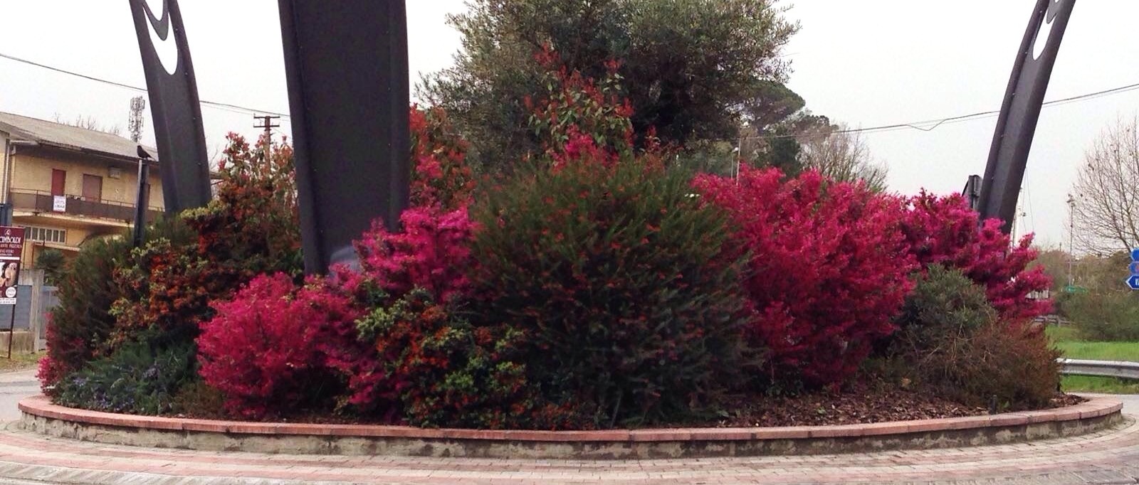 Immagine principale