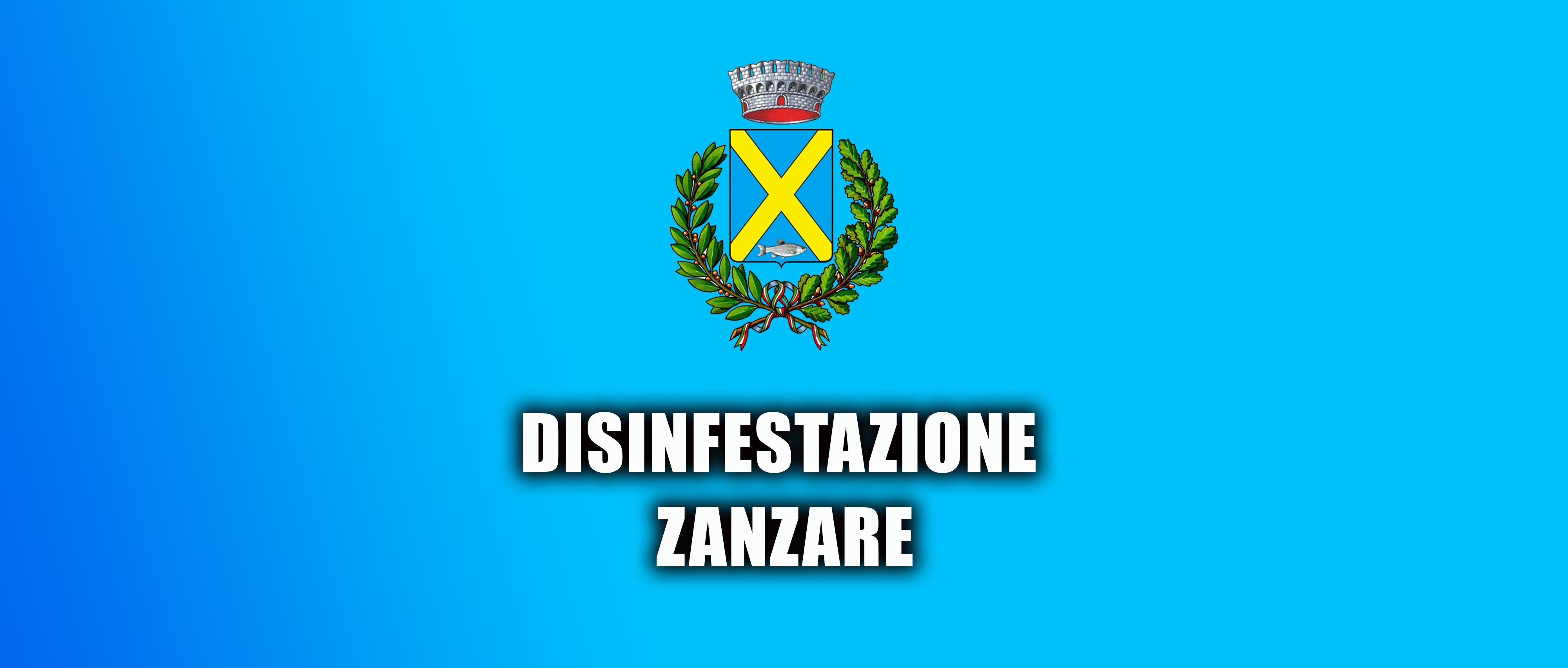 Immagine principale