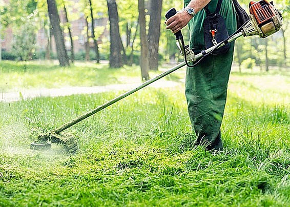 ORDINANZE FONDI CONFINANTI CON LE STRADE PROVINCIALI