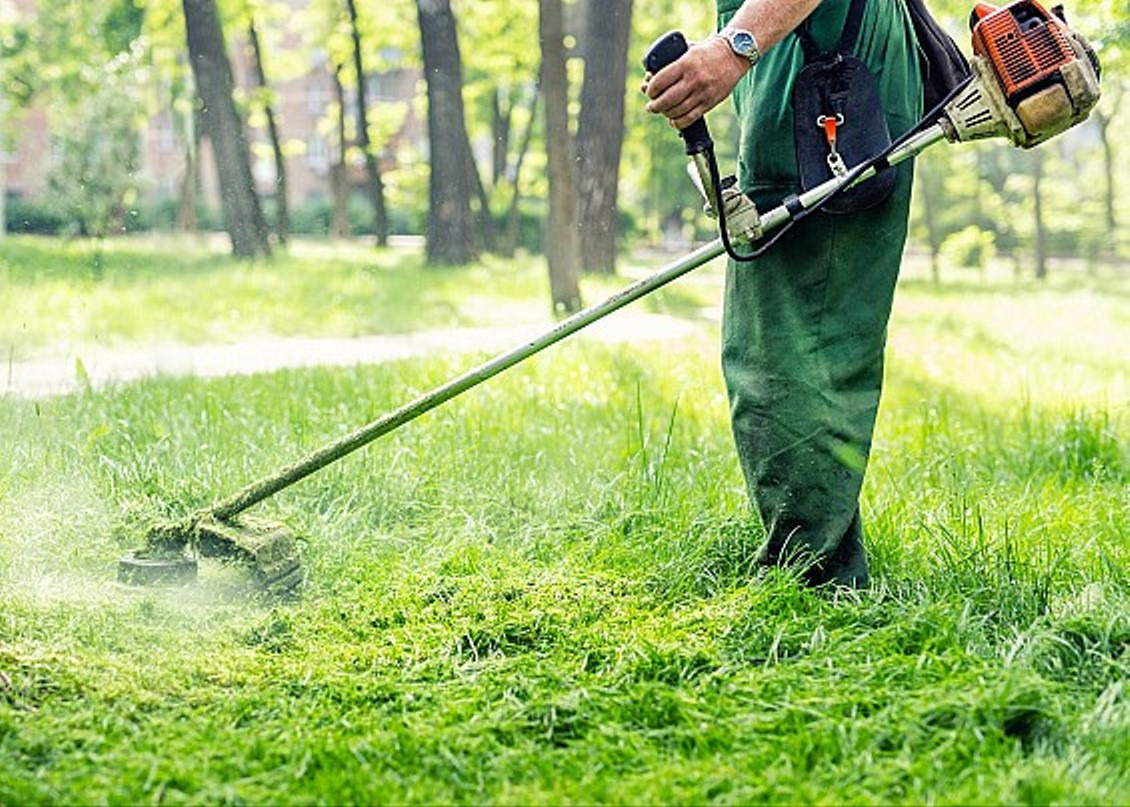 ORDINANZE FONDI CONFINANTI CON LE STRADE PROVINCIALI