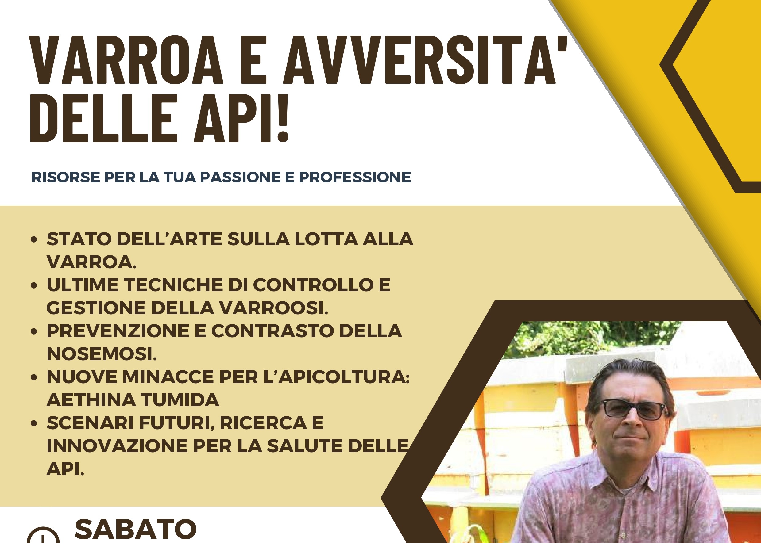 "Varroa e avversità delle api": convegno dell'Associazione tra i produttori apistici della provincia di Varese
