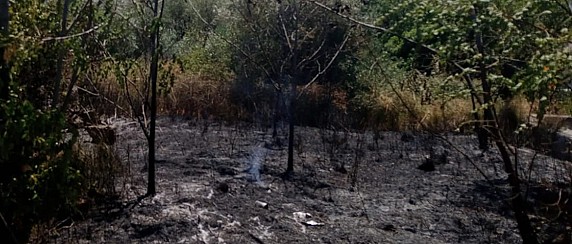 PREVENZIONE INCENDI BOSCHIVI E DI INTERFACCIA – STAGIONE 2026