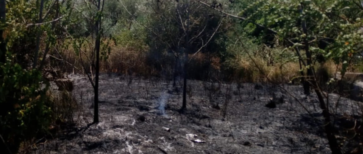 PREVENZIONE INCENDI BOSCHIVI E DI INTERFACCIA – STAGIONE 2026