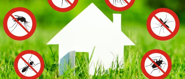 AVVISO DI DISINFESTAZIONE 23 GIUGNO 2026