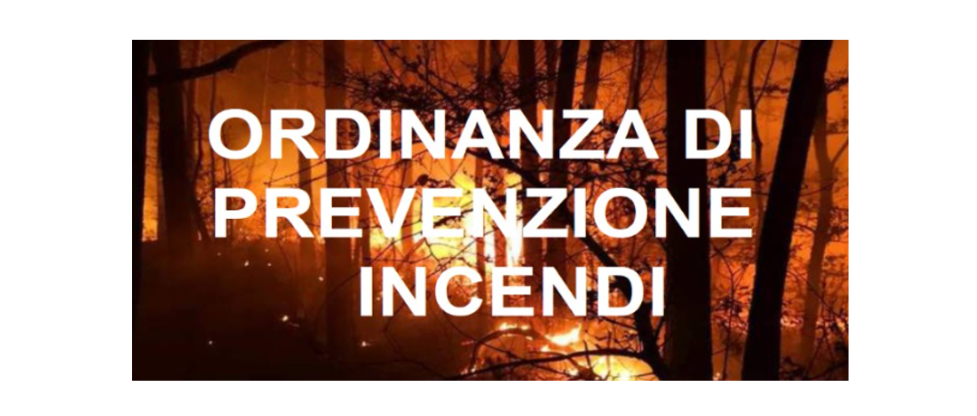 ORDINANZA NR.11 DEL 17-06-2026