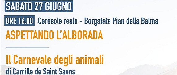Immagine non trovata