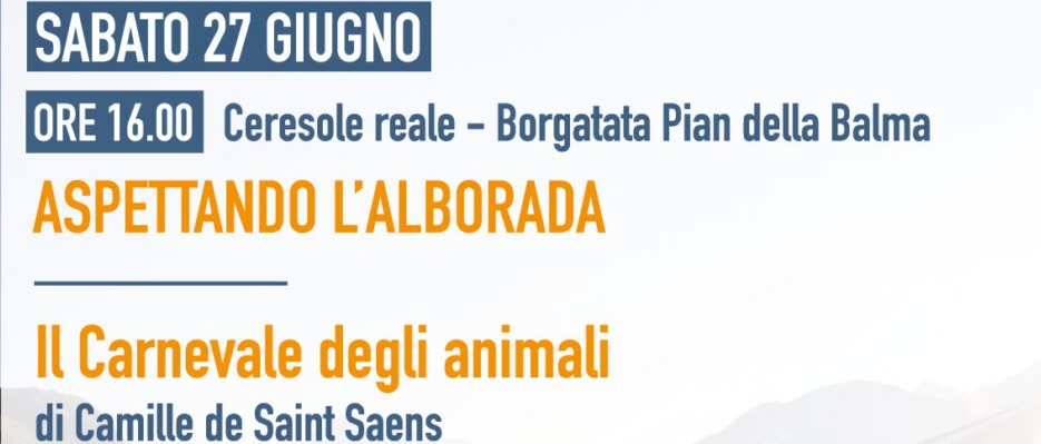 Immagine principale