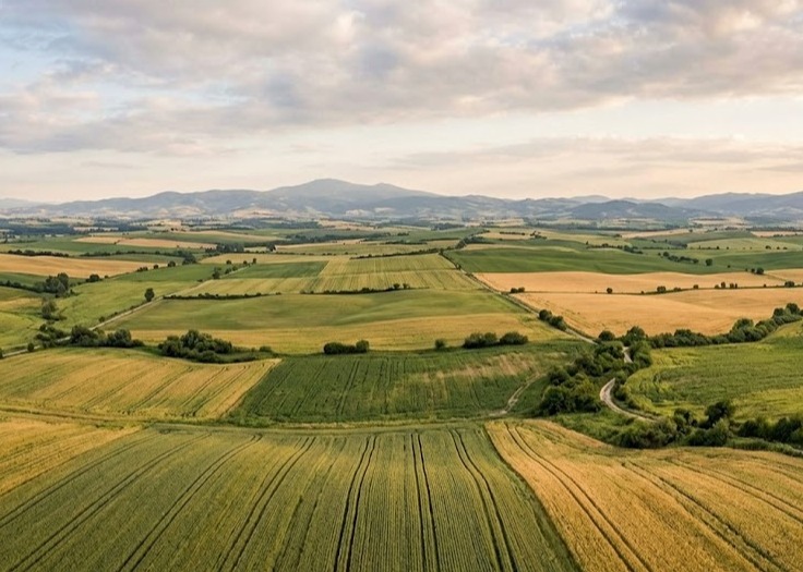Patrimonio rurale (terreni agricoli e boschivi) anno 2026
