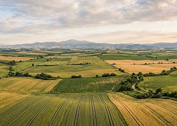 Patrimonio rurale (terreni agricoli e boschivi) anno 2026