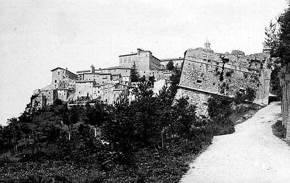 todi 2