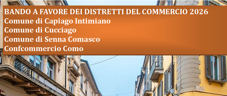 News: Questionario online per cittadini e imprese per il Distretto del Commercio