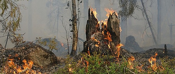 Attivazione della fase di attenzione per gli incendi boschivi dal 22.06.2026 al 01.07.2026 compresi