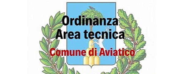 Ordinanza n. 9 del 22 Giugno 2026