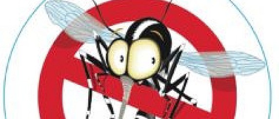 Disinfestazione larvale zanzare - Informazioni