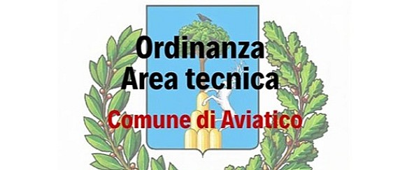 Ordinanza n. 10 del 22 Giugno 2026