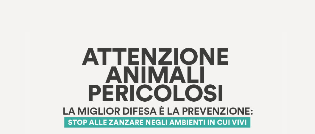 Immagine principale