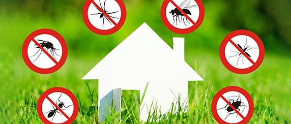 Avviso disinfestazione