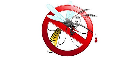 AVVISO DISINFESTAZIONE 27/06/2026