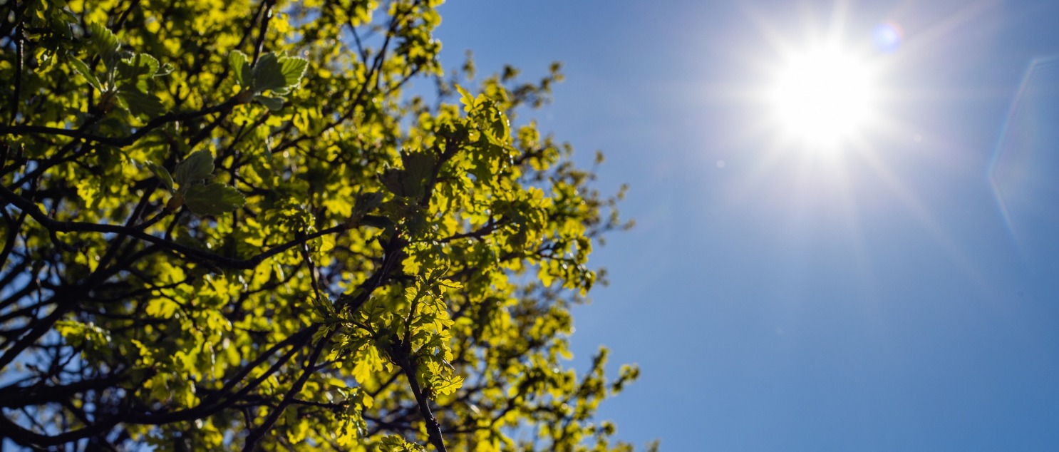 Ordinanza regionale a tutela dei lavoratori in condizioni di esposizione prolungata al sole