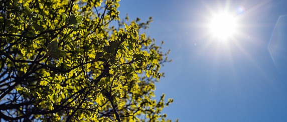 Ordinanza regionale a tutela dei lavoratori in condizioni di esposizione prolungata al sole