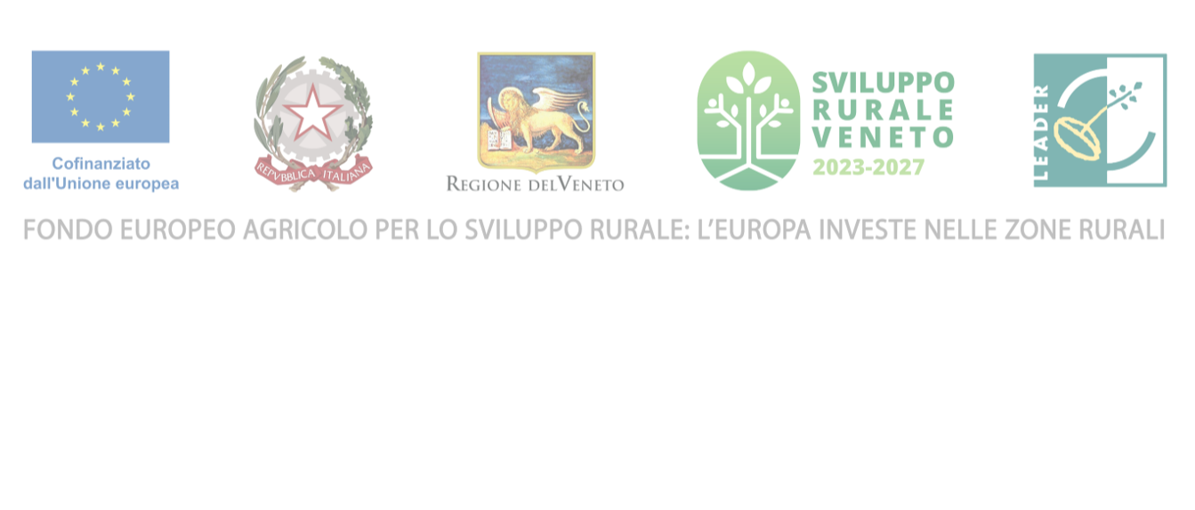 Immagine principale