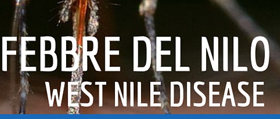 Prevenzione, sorveglianza e interventi di risposta alla circolazione delle Arbovirosi