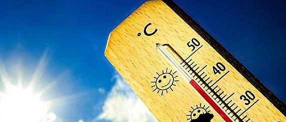 Emergenza caldo