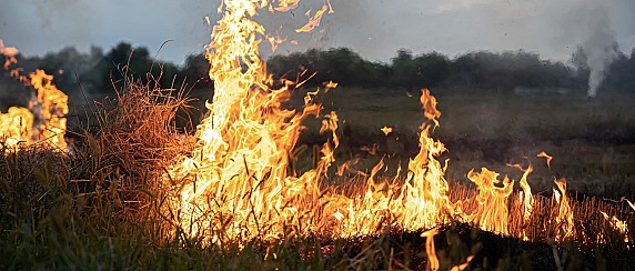 Stato di grave pericolosità per gli incendi boschivi 2026