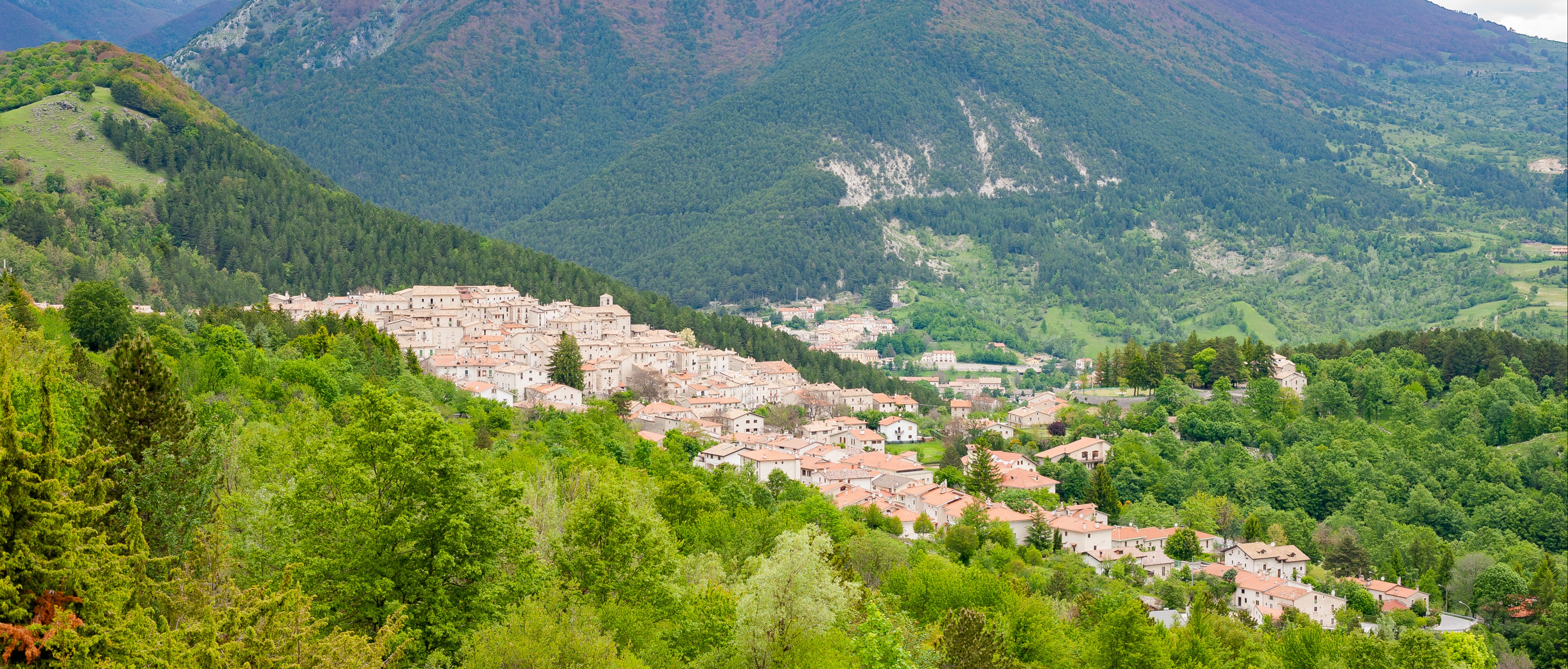 COMUNICATO DEL SINDACO