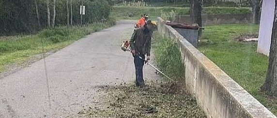 Interventi programmati di sfalcio